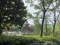 -冶父山国家森林公园