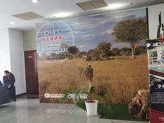 -中国北方国际射击场