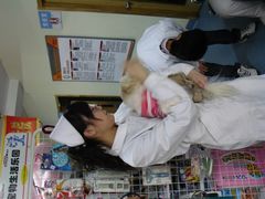 -瑞派宠物医院·24小时骨科·心脏·核磁(哈尔滨南岗店)