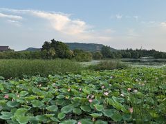 -南京工程学院(江宁校区)