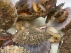 -渔码头食府(蓬莱阁店)