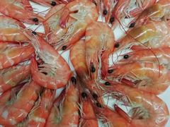-小北江河鲜(旧城店)