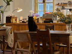 -春风十里咖啡馆