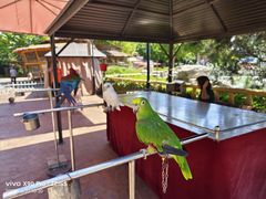 -辛玛王国游乐园