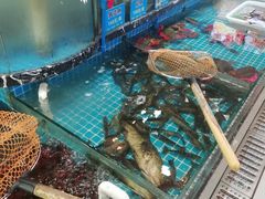 -好人家海鲜酒楼(淞南路店)