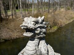 -顾村公园