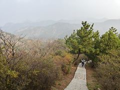 -金龙寺国家森林公园
