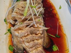 -巧克力渔家.小船海鲜胶东菜(万平口店)