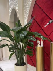 -尊尚柏丽美容SPA