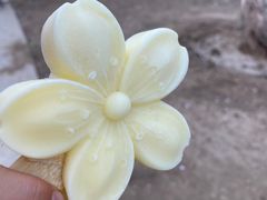 -桃花堤公园