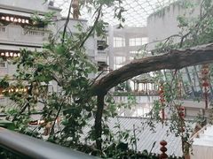 -阿大排档(长春这有山店)