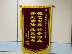 -中农国际动物医院24小时·猫科·骨科·急重症中心