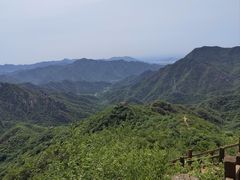 -大岭沟猕猴桃谷风景区