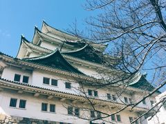 -名古屋城