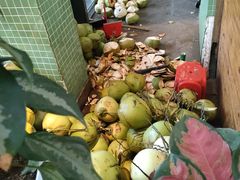 -南国锋味椰子鸡(瀚海店)