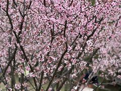 -贵阳市花溪国家城市湿地公园