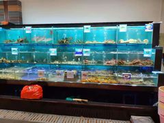 水产区-南海渔家•海鲜•正宗海南菜(海棠湾店)