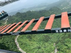 -梦幻奥陶纪景区