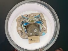 -陕西自然博物馆