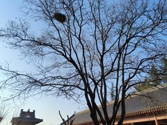 -横山寺