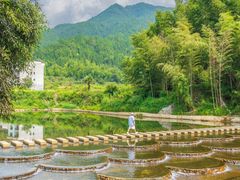 -婺源风景区