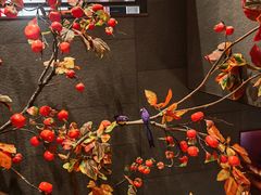 -四世同堂·京菜·烤鸭(双井店)