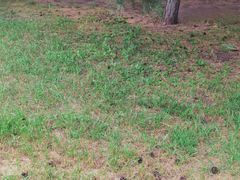 -长春公园(普阳街道)