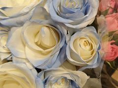 -万达广场(东莞厚街店)