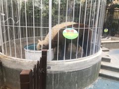 -上海崇明金茂凯悦酒店
