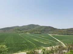 -石塘人家