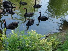 -长白岛森林公园