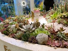 -春树下·树屋花房西餐厅(罍街AS1980店)