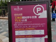 -迪士尼乐园停车场