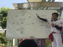 -百万葵园