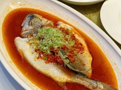-上海总会SHANGHAICLUB(兴业太古汇店)