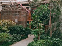 -南宫五洲植物乐园