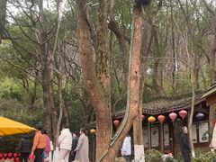 -天目湖山水园