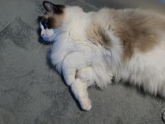 -零纪元VR体验馆·桌游(黄浦店)