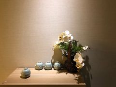 -青嵩养身会馆
