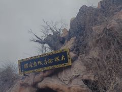 -大槐树寻根祭祖园
