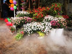 -吴越荣记苏州菜·松鼠桂鱼100%活鱼现做(斜塘老街店)