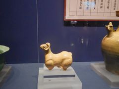 -温州博物馆