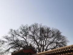 -北京古代建筑博物馆