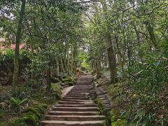 -青城山