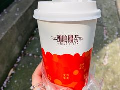 -鸡鸣赐茶(鸡鸣寺路店)