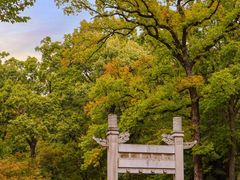 -灵谷景区