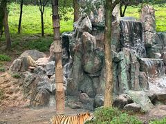 -杭州野生动物世界
