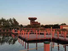 -芒洲湿地公园