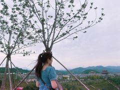 -白鹿原影视城