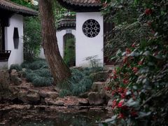 -秋霞圃